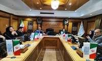 انتخاب هیأت‌رئیسه کارگروه راهبری شورای عالی مهارت / سند جامع پیشرفت آموزش‌های مهارتی در دستور کار 